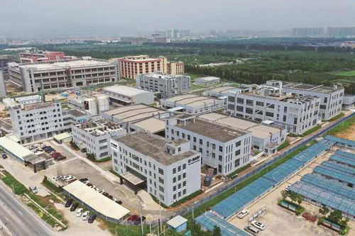 立足灣區(qū) 攜手歐洲 走向世界 江門(mén)塑造國(guó)際經(jīng)貿(mào)合作新優(yōu)勢(shì)